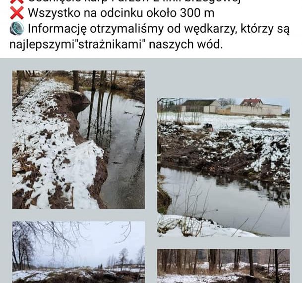 AKTUALNOŚCI 9 Zgłoszenia mają sens