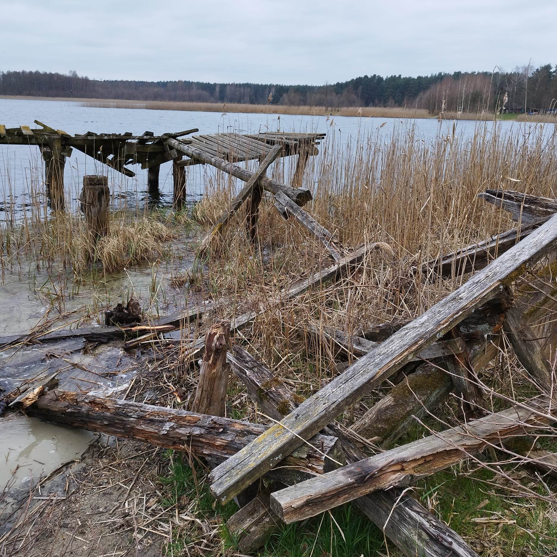 Zgłoszenie mieszkańca Nowej Kaletki 17 Zgłoszenie mieszkańca Nowej Kaletki